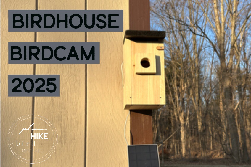 BIRDCAM 2025: The Birdhouse&nbsp;Camera!