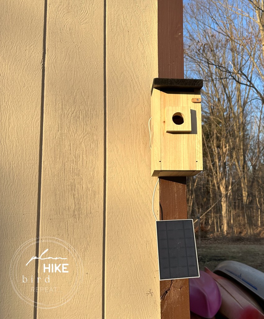 solar powered birdhouse with camera 